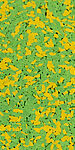35% light yellow/65% light green
