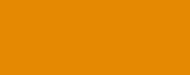 Dutch Orange [125]