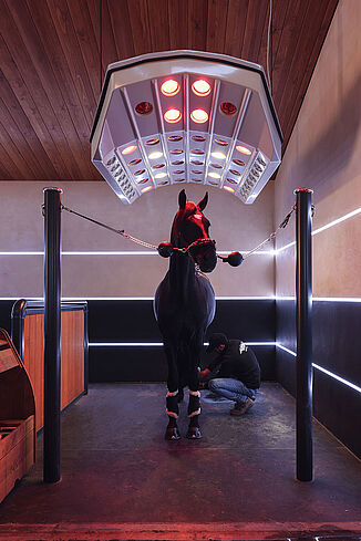 REGUPOL Equestrian Flooring for Therapy and Treatment Areas – Comfort and Safety for Modern Horse Stables Horse therapy and treatment area with infrared heat lamp and slip-resistant REGUPOL equestrian flooring – shock-absorbing, safe flooring for grooming, rehabilitation and treatment zones in horse stables