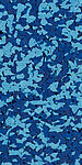 50% light blue/50% dark blue