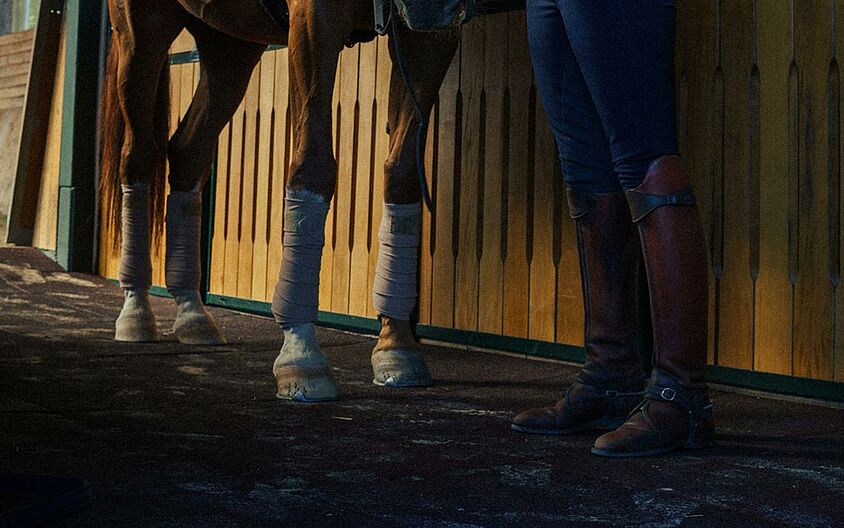 Stables of dressage rider Nathalie zu Sayn-Wittgenstein