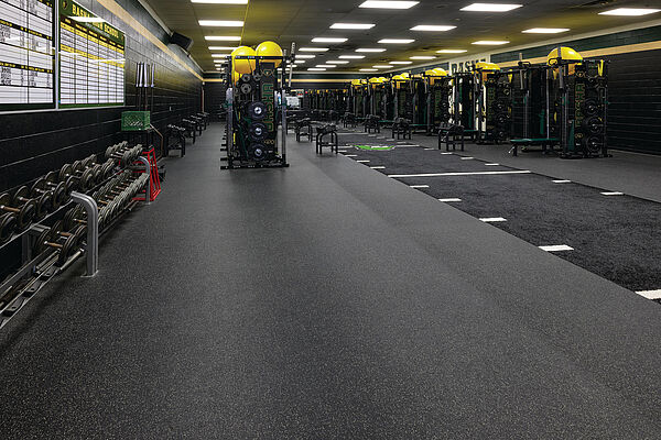 Basha High School