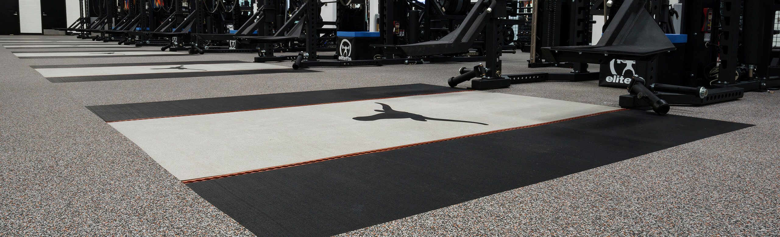 University of Texas at Austin offers REGUPOL crash within their inlaid platforms of their weight training facility. Each individual platform features the Texas Longhorn logo.